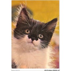 AIDP5-ANIMAUX-0446 - coup de coeur modillac
