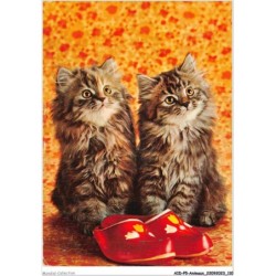 AIDP5-ANIMAUX-0440 - deux chatons