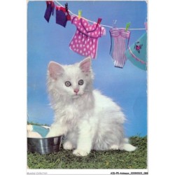 AIDP5-ANIMAUX-0429 - chat blanc