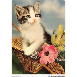 AIDP5-ANIMAUX-0439 - regard de chat