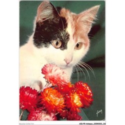 AIDP5-ANIMAUX-0443 - chiens et chats nos amis