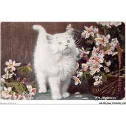AILP10-0949 - CHAT - his highness