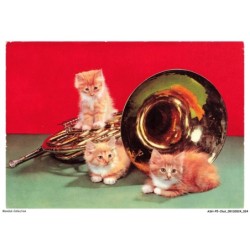 ASHP5-0280-CHAT - TROIS CHATONS ET INSTRUMENT DE MUSIQUE