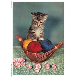 ASHP5-0282-CHAT - CHATON AVEC DES  BOULES DE FIL DE LAINE DANS UN PANIER EN FORME DE BATEAU