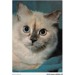 AIDP5-ANIMAUX-0435 - regard de chat