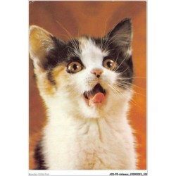 AIDP5-ANIMAUX-0447 - coup de coeur mattel