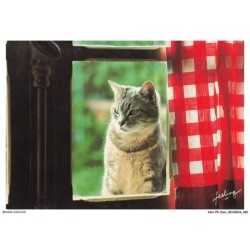 ASHP5-0313-CHAT - CHATS PERCHES