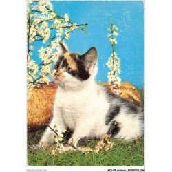 AIDP5-ANIMAUX-0433 - chat