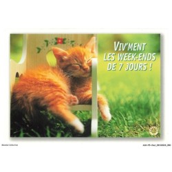 ASHP5-0312-CHAT - CHATON QUI DORT SUR UNE CHAISE - VIV'MENT LES WEEK-ENDS DE 7 JOURS