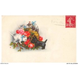 ASHP6-0321-CHAT - CHATONS ET PANIER DE FLEURS