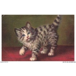 ASHP6-0323-CHAT - CHATON DEBOUT SUR TROIS PATTES