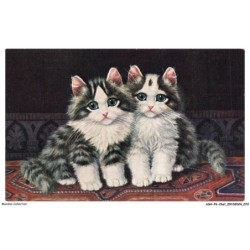 ASHP6-0358-CHAT - DESSIN DE DEUX CHATONS  L'UN PRES DE L'AUTRE