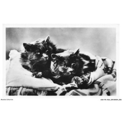 ASHP6-0334-CHAT - DEUX CHATS NOIR SOUS UNE COUVERTURE