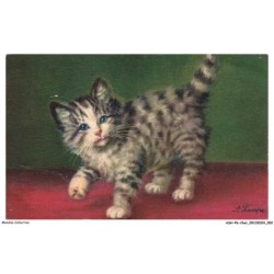 ASHP6-0322-CHAT - CHATON DEBOUT SUR TROIS PATTES