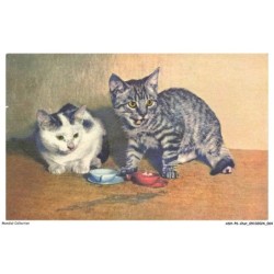 ASHP6-0354-CHAT - DEUX CHATS ET DEUX TASSES