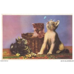 ASHP6-0360-CHAT - TROIS CHATS - PANIER ET PAPILLON