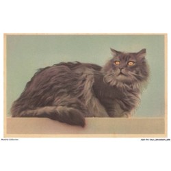 ASHP6-0371-CHAT - UN CHAT NOIR