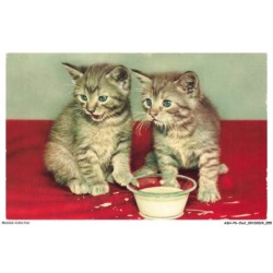 ASHP6-0349-CHAT - CHATONS BUVANT DU LAIT