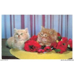 ASHP6-0368-CHAT - DEUX CHATONS ET FLEURS ROUGE