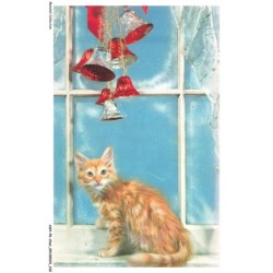 ASHP6-0373-CHAT - UN CHAT PRES D'UNE FENETRE ET CLOCHETTES