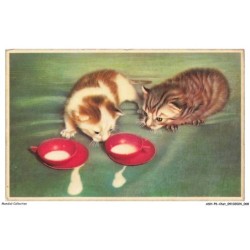 ASHP6-0356-CHAT - DEUX CHATONS ET DEUX TASSES DE LAIT