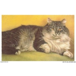 ASHP6-0362-CHAT - UN CHAT COUCHE