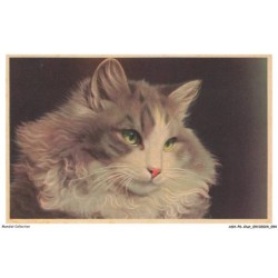ASHP6-0369-CHAT - PORTRAIT D'UN CHAT