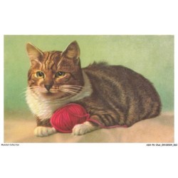 ASHP6-0353-CHAT - CHAT AVEC FIL DE LAINE ROUGE