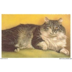 ASHP6-0363-CHAT - UN CHAT COUCHE