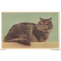 ASHP6-0375-CHAT - UN CHAT NOIR