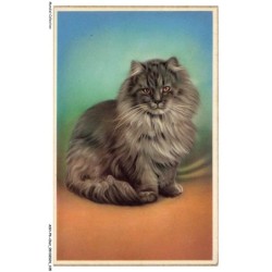 ASHP6-0374-CHAT - UN CHAT PERSAN