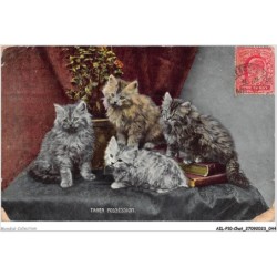 AILP10-0966 - CHAT - taken possession