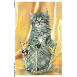 ASHP7-0386-CHAT - CHATON DANS UN POT EN VERRE