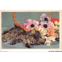 AILP10-0957 - CHAT - couché