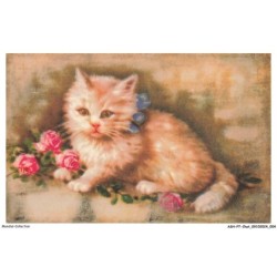 ASHP7-0378-CHAT - UN CHATON ET FLEURS