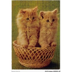 AIDP5-ANIMAUX-0448 - coup de coeur mattel