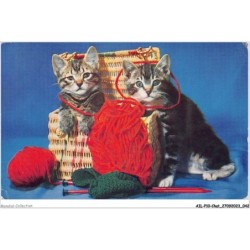 AILP10-0965 - CHAT - fil de laine et chats