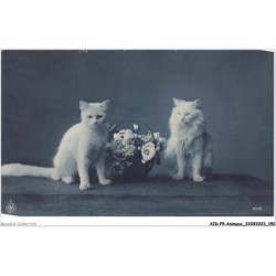 AIDP5-ANIMAUX-0460 - deux chats blanc