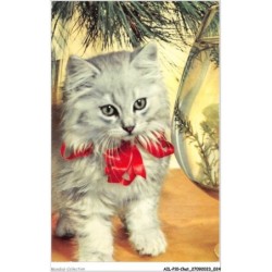 AILP10-0956 - CHAT