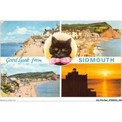 AILP10-0952 - CHAT - good luck from sidmouth