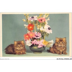 AILP10-0954 - CHAT - pot de fleurs et chats