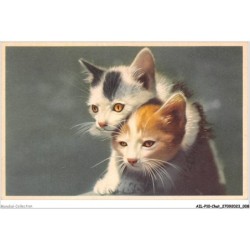 AILP10-0948 - CHAT - deux chats