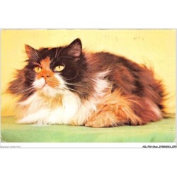 AILP10-0983 - CHAT - persan tricolore