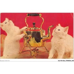 AILP10-0967 - CHAT - regard en l'air
