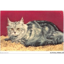 AILP10-0959 - CHAT