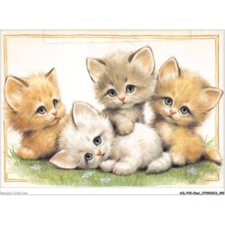 AILP10-0989 - CHAT - groupe de chatons