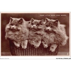 AILP10-0974 - CHAT - three little maids from school
