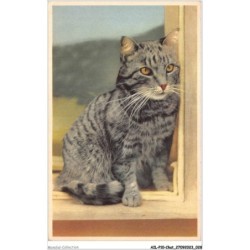 AILP10-0958 - CHAT