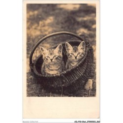 AILP10-0975 - CHAT - deux chats dans un panier