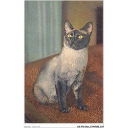 AILP10-0961 - CHAT - regard d'un chat